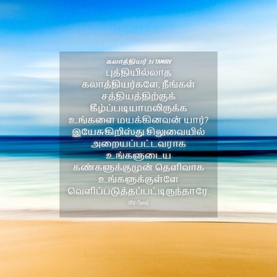 Picture 04 - கலாத்தியர் 3:1 TAMIRV - புத்தியில்லாத - Bible Verse Picture