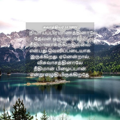 Picture 04 - கலாத்தியர் 3:11 TAMIRV -  - Bible Verse Picture