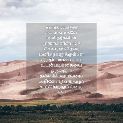 Picture 04 - கலாத்தியர் 3:15 TAMIRV - சகோதரர்களே, - Bible Verse Picture