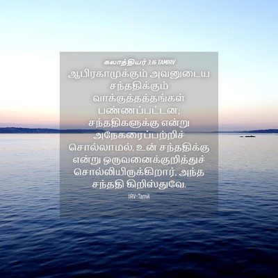 Picture 04 - கலாத்தியர் 3:16 TAMIRV - ஆபிரகாமுக்கும் - Bible Verse Picture