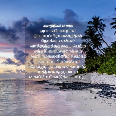 Picture 04 - கலாத்தியர் 3:19 TAMIRV - அப்படியென்றால், - Bible Verse Picture