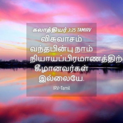 Picture 04 - கலாத்தியர் 3:25 TAMIRV - விசுவாசம் - Bible Verse Picture