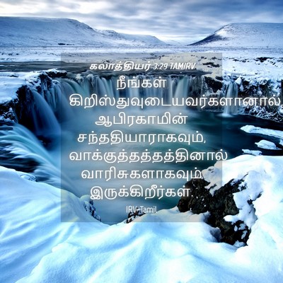 Picture 04 - கலாத்தியர் 3:29 TAMIRV - நீங்கள் - Bible Verse Picture