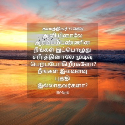 Picture 04 - கலாத்தியர் 3:3 TAMIRV - ஆவியினாலே - Bible Verse Picture
