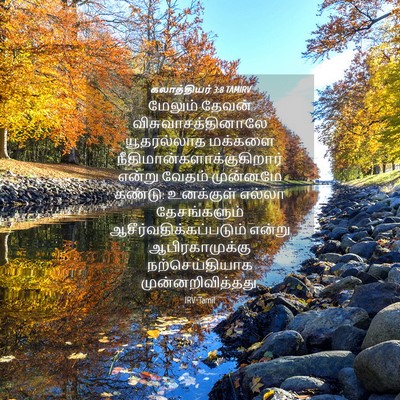 Picture 04 - கலாத்தியர் 3:8 TAMIRV - மேலும் தேவன் - Bible Verse Picture