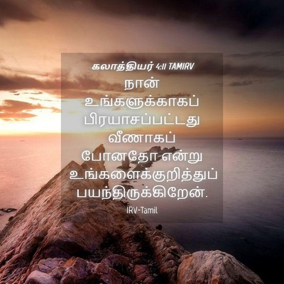 Picture 04 - கலாத்தியர் 4:11 TAMIRV - நான் - Bible Verse Picture