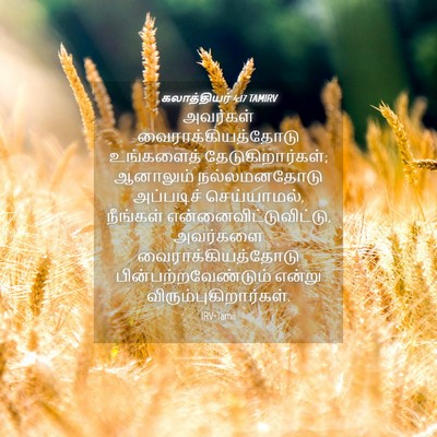 Picture 04 - கலாத்தியர் 4:17 TAMIRV - அவர்கள் - Bible Verse Picture