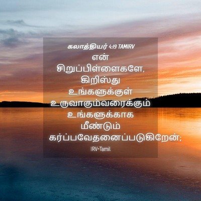 Picture 04 - கலாத்தியர் 4:19 TAMIRV - என் - Bible Verse Picture