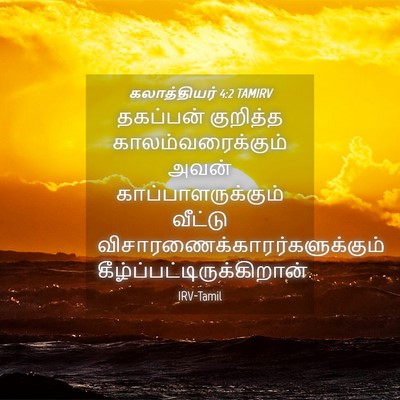 Picture 04 - கலாத்தியர் 4:2 TAMIRV - தகப்பன் குறித்த - Bible Verse Picture
