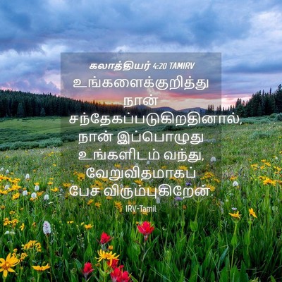 Picture 04 - கலாத்தியர் 4:20 TAMIRV - உங்களைக்குறித்து - Bible Verse Picture