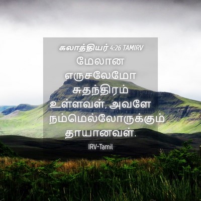 Picture 04 - கலாத்தியர் 4:26 TAMIRV - மேலான எருசலேமோ - Bible Verse Picture