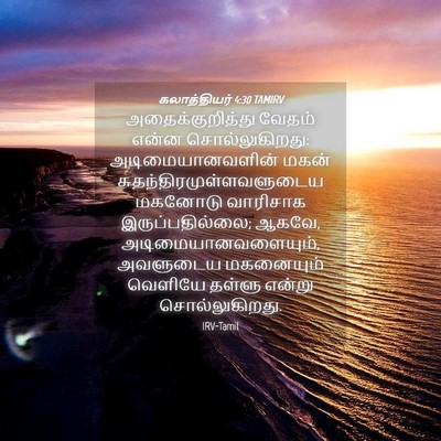 Picture 04 - கலாத்தியர் 4:30 TAMIRV - அதைக்குறித்து - Bible Verse Picture