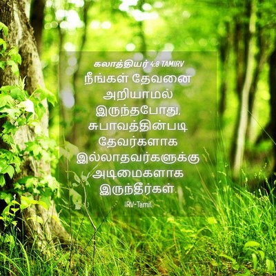Picture 04 - கலாத்தியர் 4:8 TAMIRV - நீங்கள் தேவனை - Bible Verse Picture