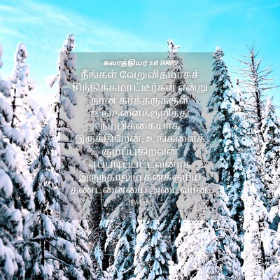 Picture 04 - கலாத்தியர் 5:10 TAMIRV - நீங்கள் - Bible Verse Picture