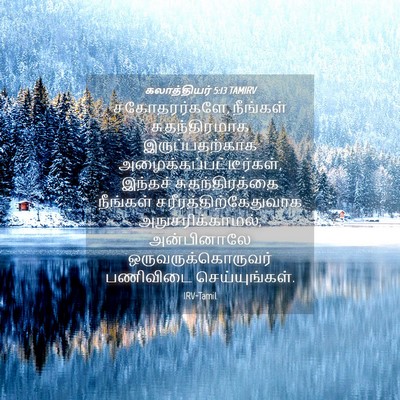 Picture 04 - கலாத்தியர் 5:13 TAMIRV - சகோதரர்களே, - Bible Verse Picture