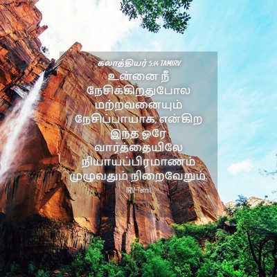 Picture 04 - கலாத்தியர் 5:14 TAMIRV - உன்னை நீ - Bible Verse Picture