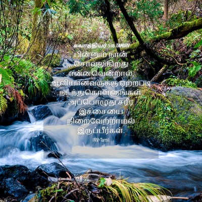 Picture 04 - கலாத்தியர் 5:16 TAMIRV - பின்னும் நான் - Bible Verse Picture