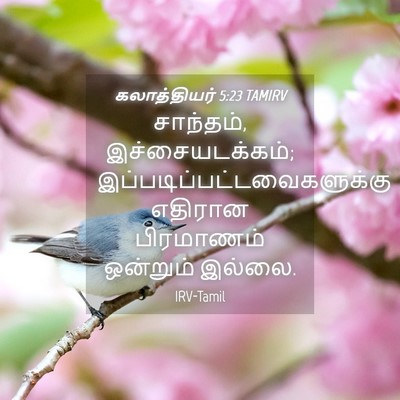Picture 04 - கலாத்தியர் 5:23 TAMIRV - சாந்தம், - Bible Verse Picture