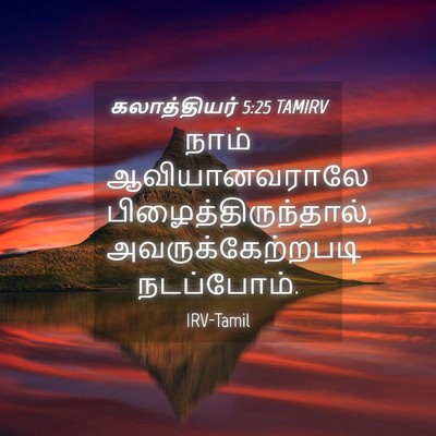 Picture 04 - கலாத்தியர் 5:25 TAMIRV - நாம் ஆவியானவராலே - Bible Verse Picture