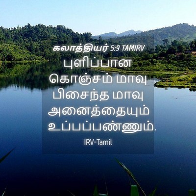 Picture 04 - கலாத்தியர் 5:9 TAMIRV - புளிப்பான கொஞ்சம் - Bible Verse Picture