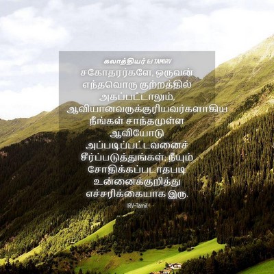 Picture 04 - கலாத்தியர் 6:1 TAMIRV - சகோதரர்களே, - Bible Verse Picture