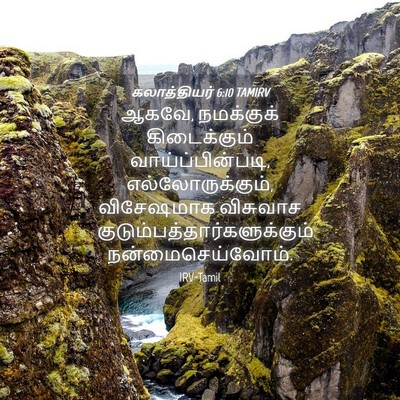 Picture 04 - கலாத்தியர் 6:10 TAMIRV - ஆகவே, நமக்குக் - Bible Verse Picture