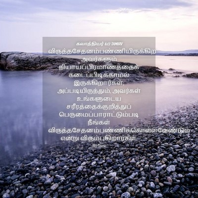 Picture 04 - கலாத்தியர் 6:13 TAMIRV -  - Bible Verse Picture