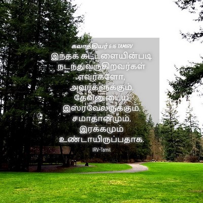 Picture 04 - கலாத்தியர் 6:16 TAMIRV - இந்தக் - Bible Verse Picture