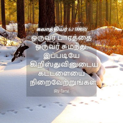 Picture 04 - கலாத்தியர் 6:2 TAMIRV - ஒருவர் பாரத்தை - Bible Verse Picture