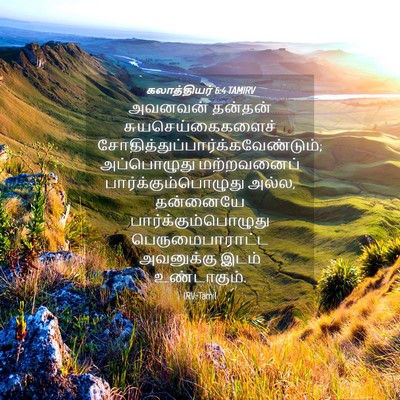 Picture 04 - கலாத்தியர் 6:4 TAMIRV - அவனவன் தன்தன் - Bible Verse Picture