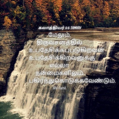 Picture 04 - கலாத்தியர் 6:6 TAMIRV - மேலும், - Bible Verse Picture