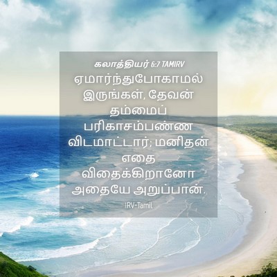 Picture 04 - கலாத்தியர் 6:7 TAMIRV - ஏமார்ந்துபோகாமல் - Bible Verse Picture
