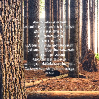 Picture 04 - கொலோசெயர் 1:20 TAMIRV - அவர் சிலுவையில் - Bible Verse Picture