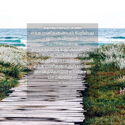 Picture 04 - கொலோசெயர் 1:28 TAMIRV - எந்த மனிதனையும் - Bible Verse Picture