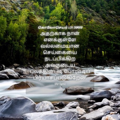 Picture 04 - கொலோசெயர் 1:29 TAMIRV - அதற்காக நான் - Bible Verse Picture