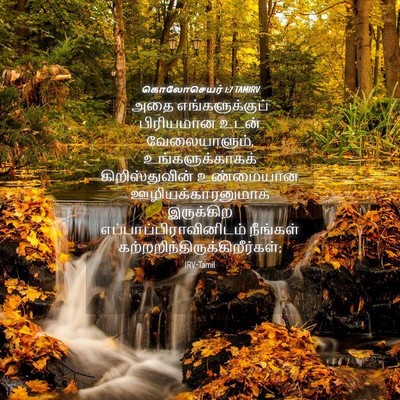 Picture 04 - கொலோசெயர் 1:7 TAMIRV - அதை எங்களுக்குப் - Bible Verse Picture