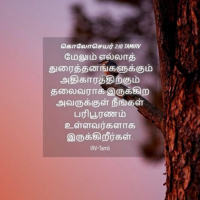 Picture 04 - கொலோசெயர் 2:10 TAMIRV - மேலும் எல்லாத் - Bible Verse Picture