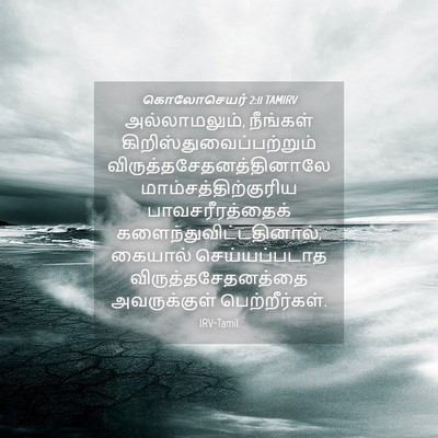 Picture 04 - கொலோசெயர் 2:11 TAMIRV - அல்லாமலும், - Bible Verse Picture