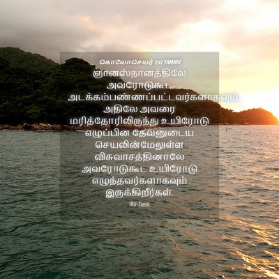 Picture 04 - கொலோசெயர் 2:12 TAMIRV - ஞானஸ்நானத்திலே - Bible Verse Picture