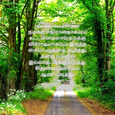 Picture 04 - கொலோசெயர் 2:14 TAMIRV - நமக்கு - Bible Verse Picture