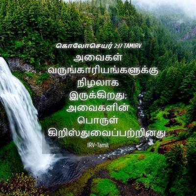 Picture 04 - கொலோசெயர் 2:17 TAMIRV - அவைகள் - Bible Verse Picture