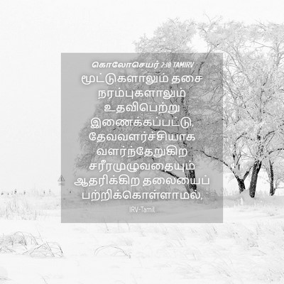 Picture 04 - கொலோசெயர் 2:18 TAMIRV - மூட்டுகளாலும் தசை - Bible Verse Picture
