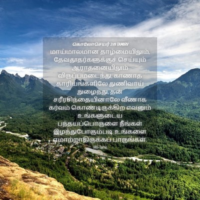 Picture 04 - கொலோசெயர் 2:19 TAMIRV - மாய்மாலமான - Bible Verse Picture