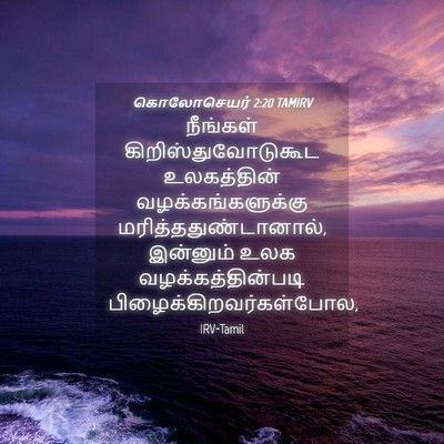Picture 04 - கொலோசெயர் 2:20 TAMIRV - நீங்கள் - Bible Verse Picture