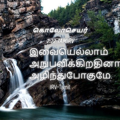 Picture 04 - கொலோசெயர் 2:22 TAMIRV - இவையெல்லாம் - Bible Verse Picture