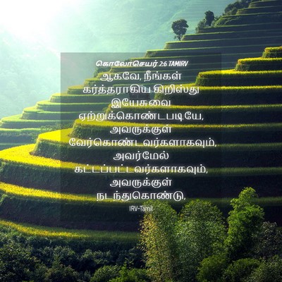 Picture 04 - கொலோசெயர் 2:6 TAMIRV - ஆகவே, நீங்கள் - Bible Verse Picture