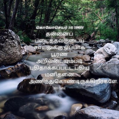 Picture 04 - கொலோசெயர் 3:10 TAMIRV - தன்னைப் - Bible Verse Picture