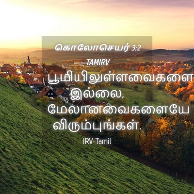 Picture 04 - கொலோசெயர் 3:2 TAMIRV - பூமியிலுள்ளவைகளை - Bible Verse Picture