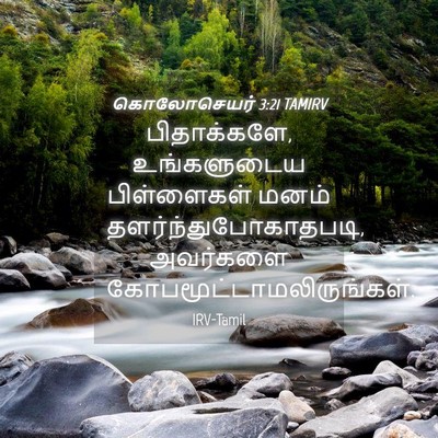 Picture 04 - கொலோசெயர் 3:21 TAMIRV - பிதாக்களே, - Bible Verse Picture