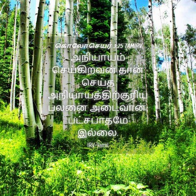 Picture 04 - கொலோசெயர் 3:25 TAMIRV - அநியாயம் - Bible Verse Picture